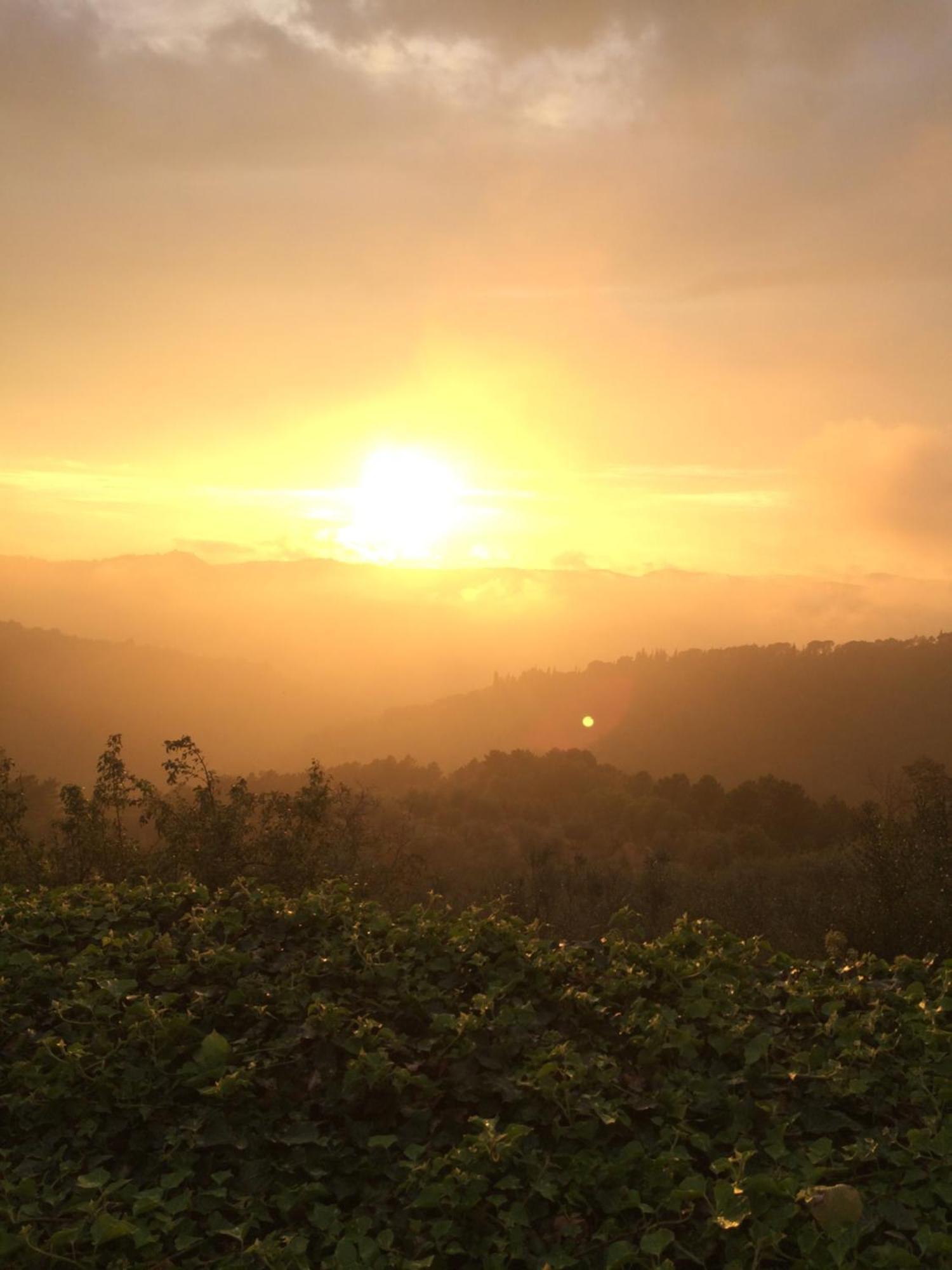 Podere Campolungo * Greve in Chianti