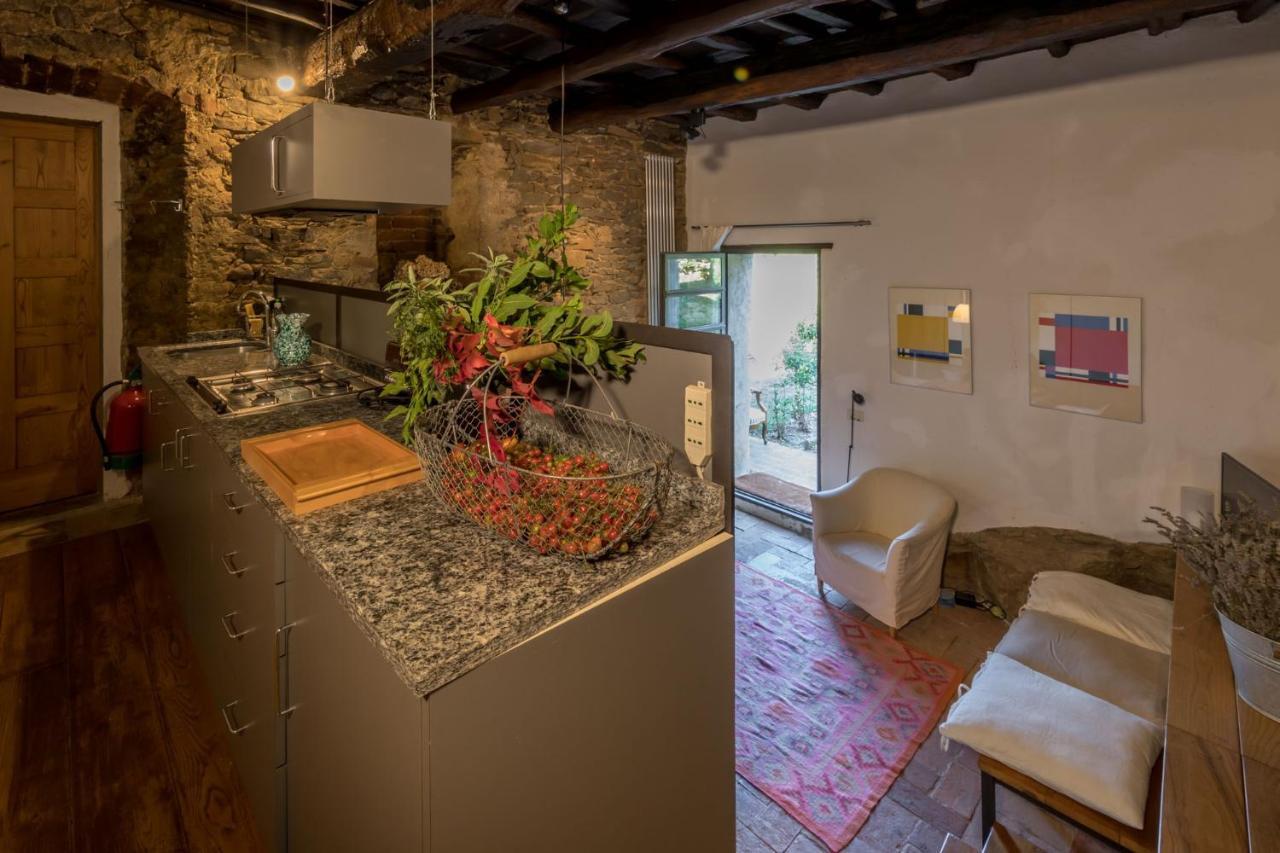 Podere Campolungo Apartment Greve in Chianti
