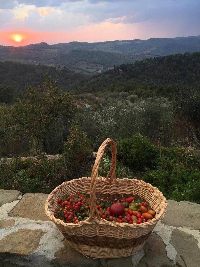 Apartment Podere Campolungo Greve in Chianti