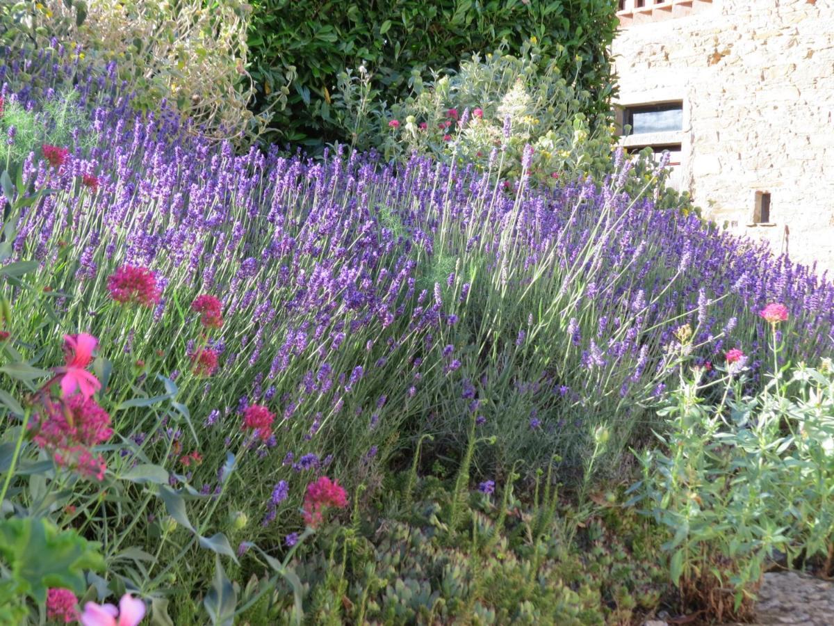 Apartment Podere Campolungo Greve in Chianti