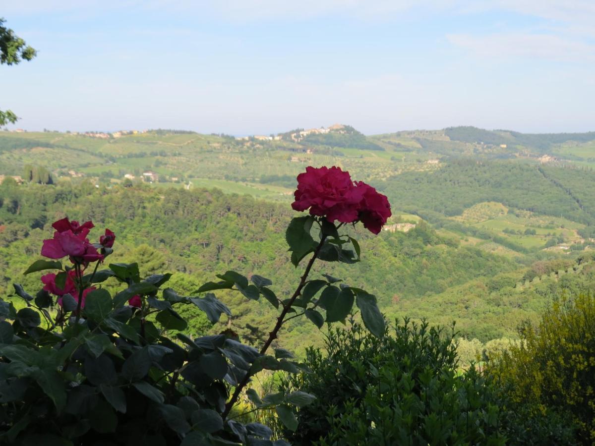 Podere Campolungo Apartment *