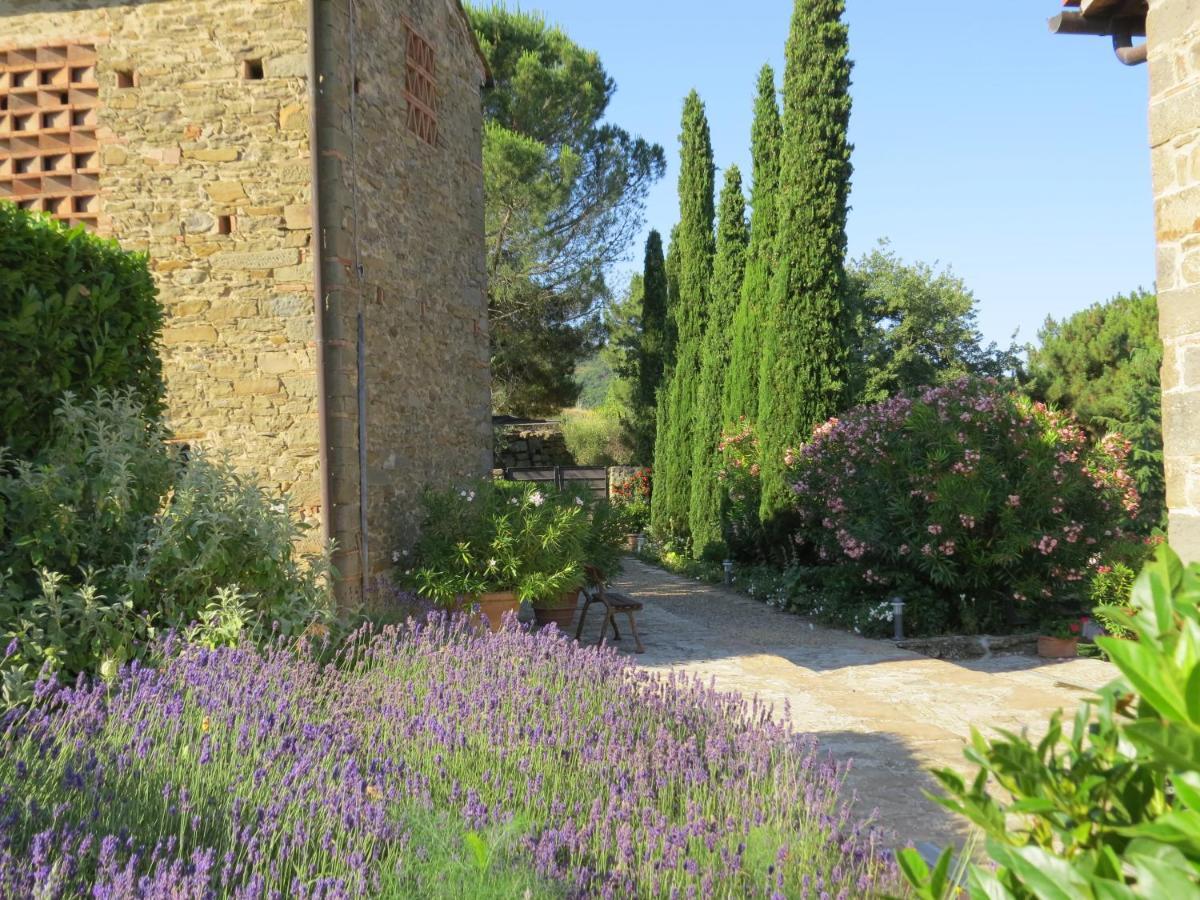 Podere Campolungo Greve in Chianti