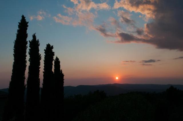 Apartment Podere Campolungo *